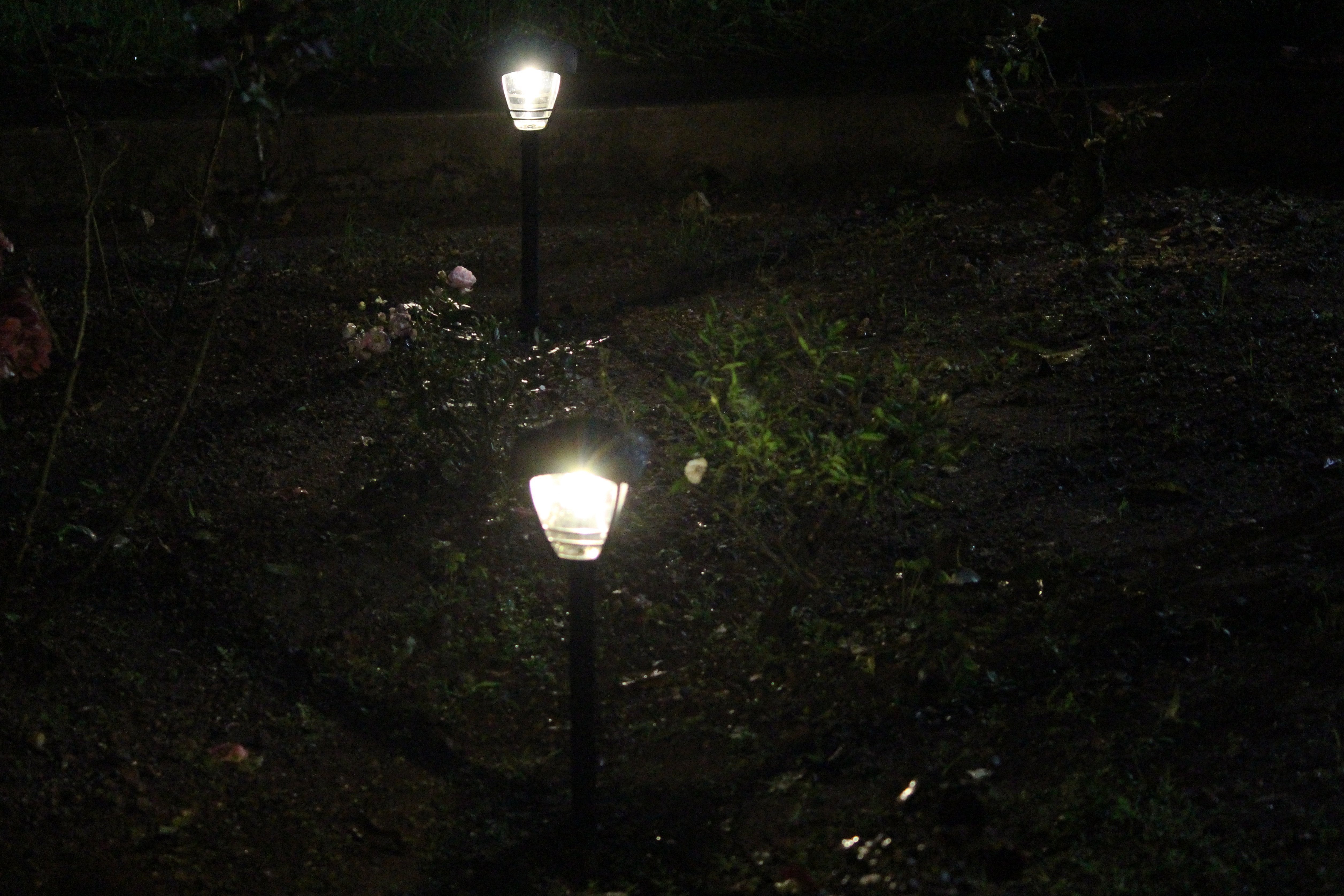 Thumbnail 12